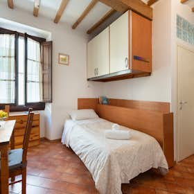 Studio for rent for € 750 per month in Florence, Borgo Allegri