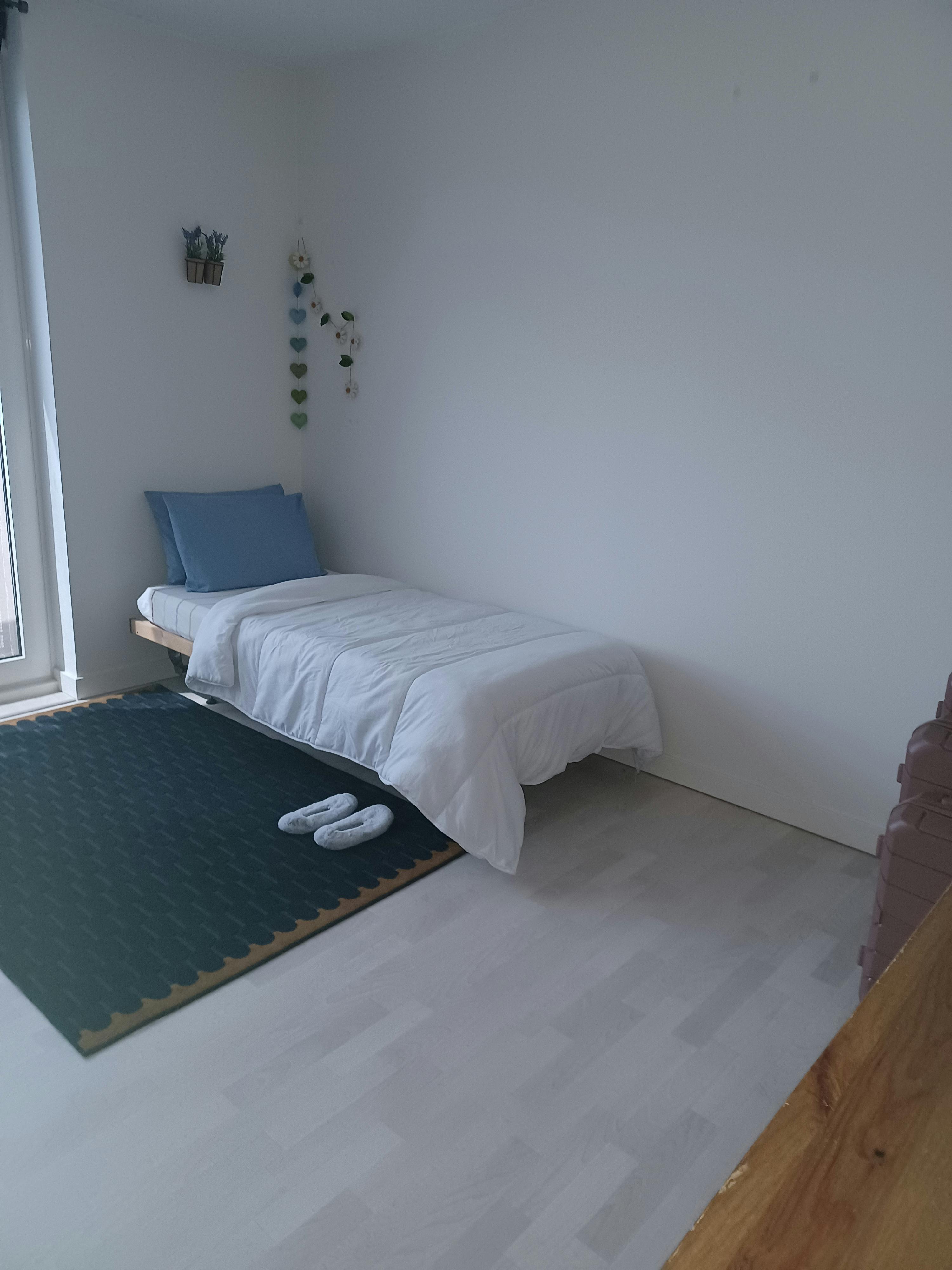 Kamer aan Schubertlaan, Delft