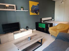 Studio for rent for €1,100 per month in Madrid, Calle Laguna del Marquesado