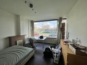 Chambre privée à louer pour 700 €/mois à Rotterdam, Aristotelesstraat