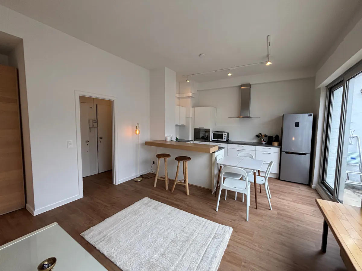 Apartment in Rue Souveraine, Ixelles (1055540) ROOM