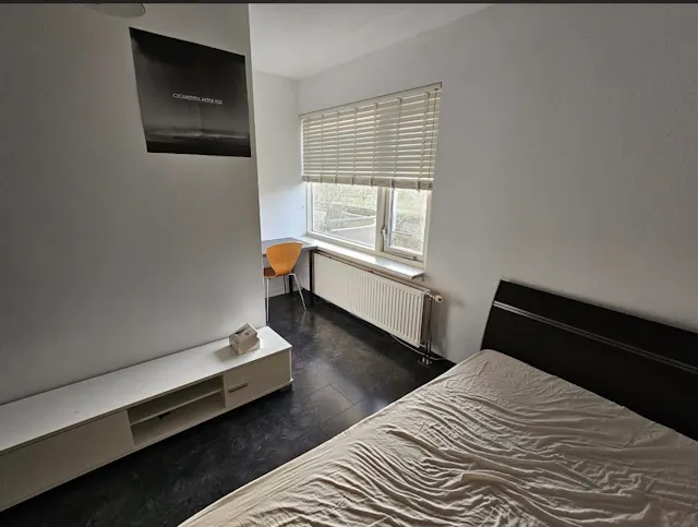 Private room in Kobelaan, Rotterdam (1058421) room image 2