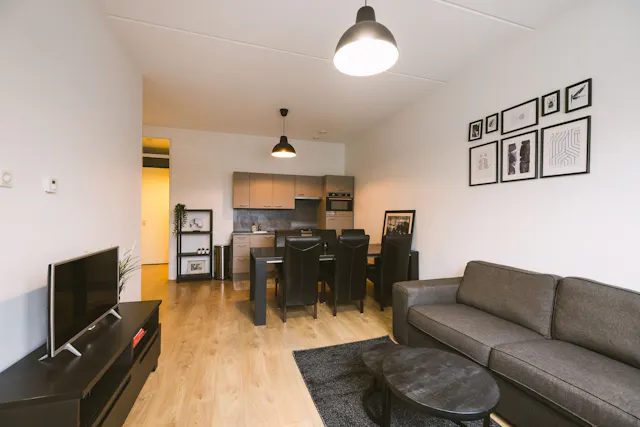 2-Bedroom Apartment in Van Dijckstraat, The Hague (1061910) room image 1