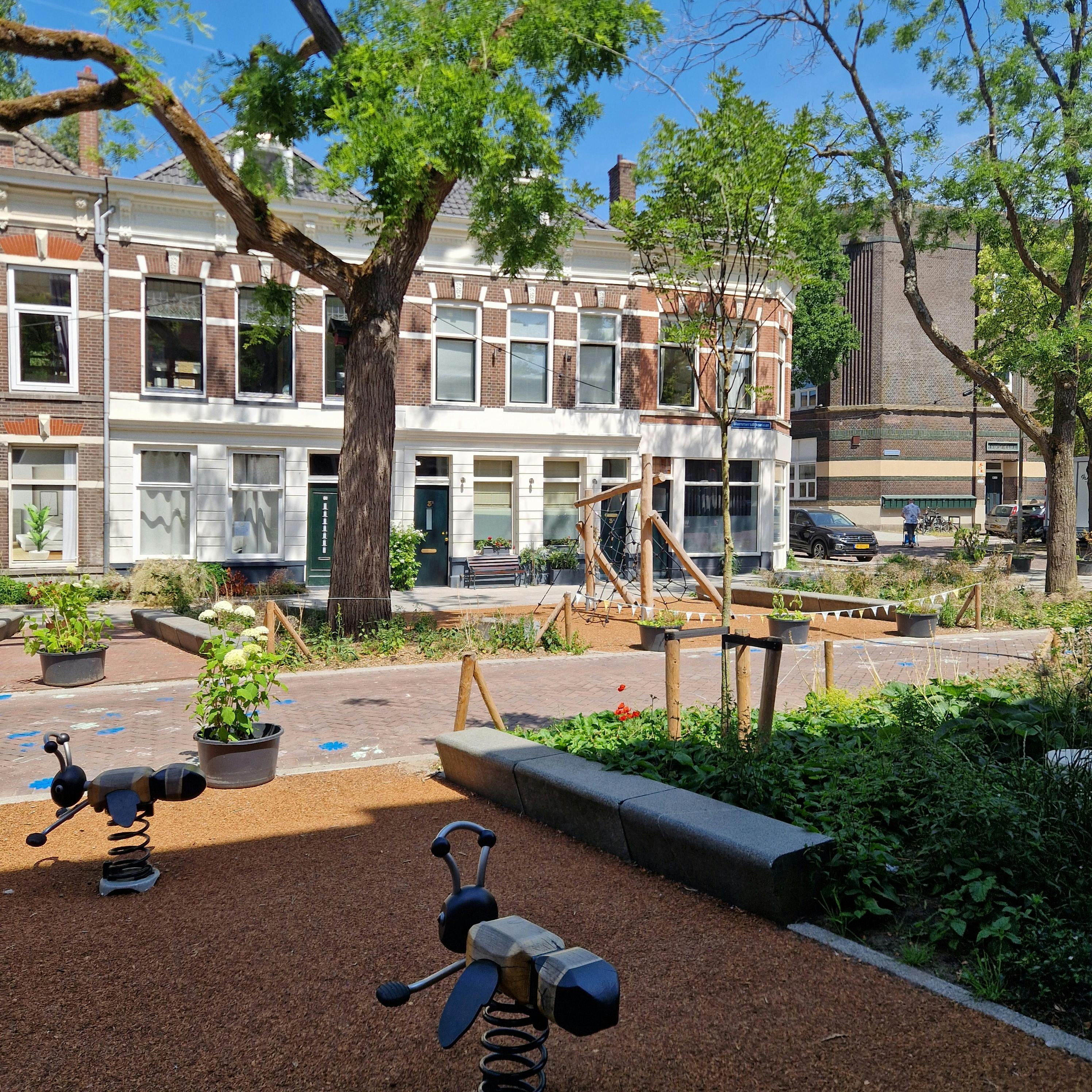 Blommersdijkselaan, Rotterdam preview