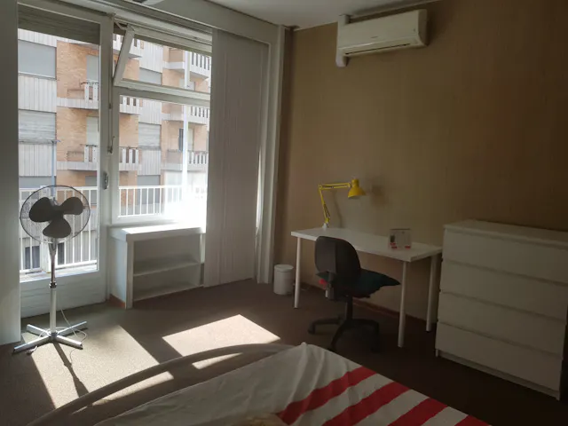 Private room in Via Federico Paolini, Turin (1070255) room image 1