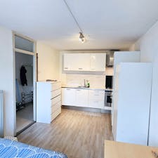 Studio for rent for €1,299 per month in Rotterdam, Paardebloem