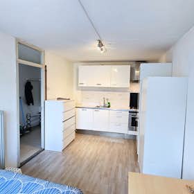 Studio for rent for € 1.299 per month in Rotterdam, Paardebloem