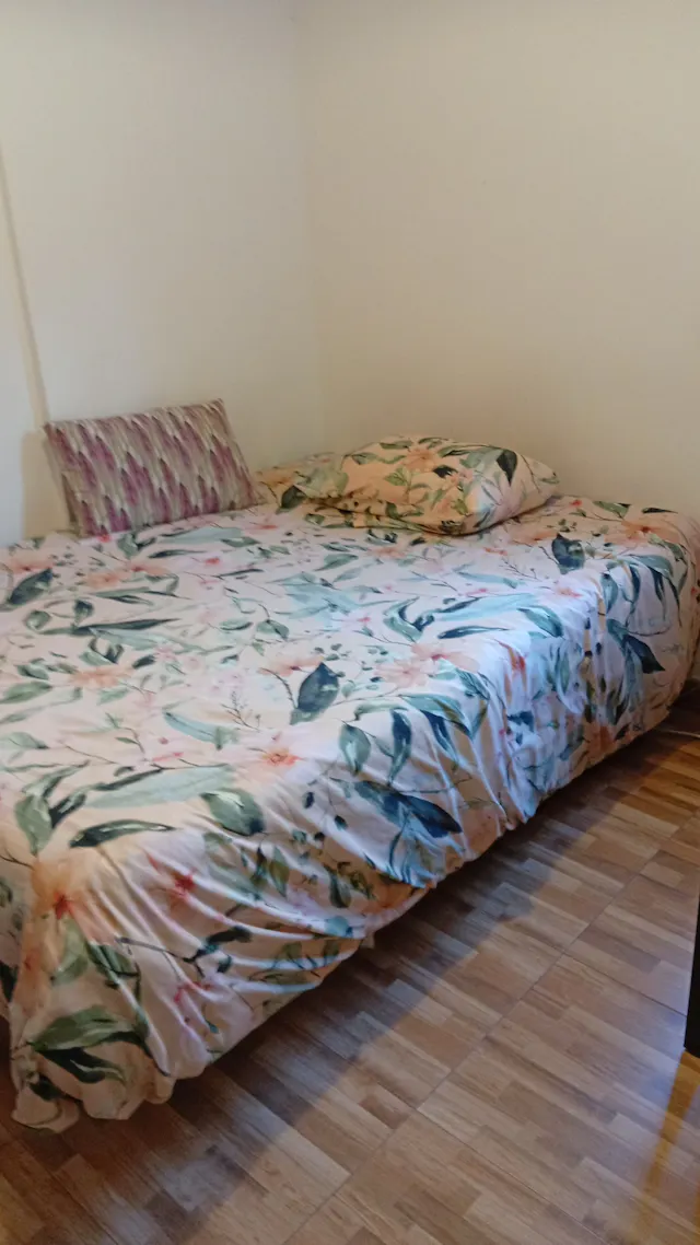 Private room in Calle de Pinilla del Valle, Madrid (1084184) room image 1