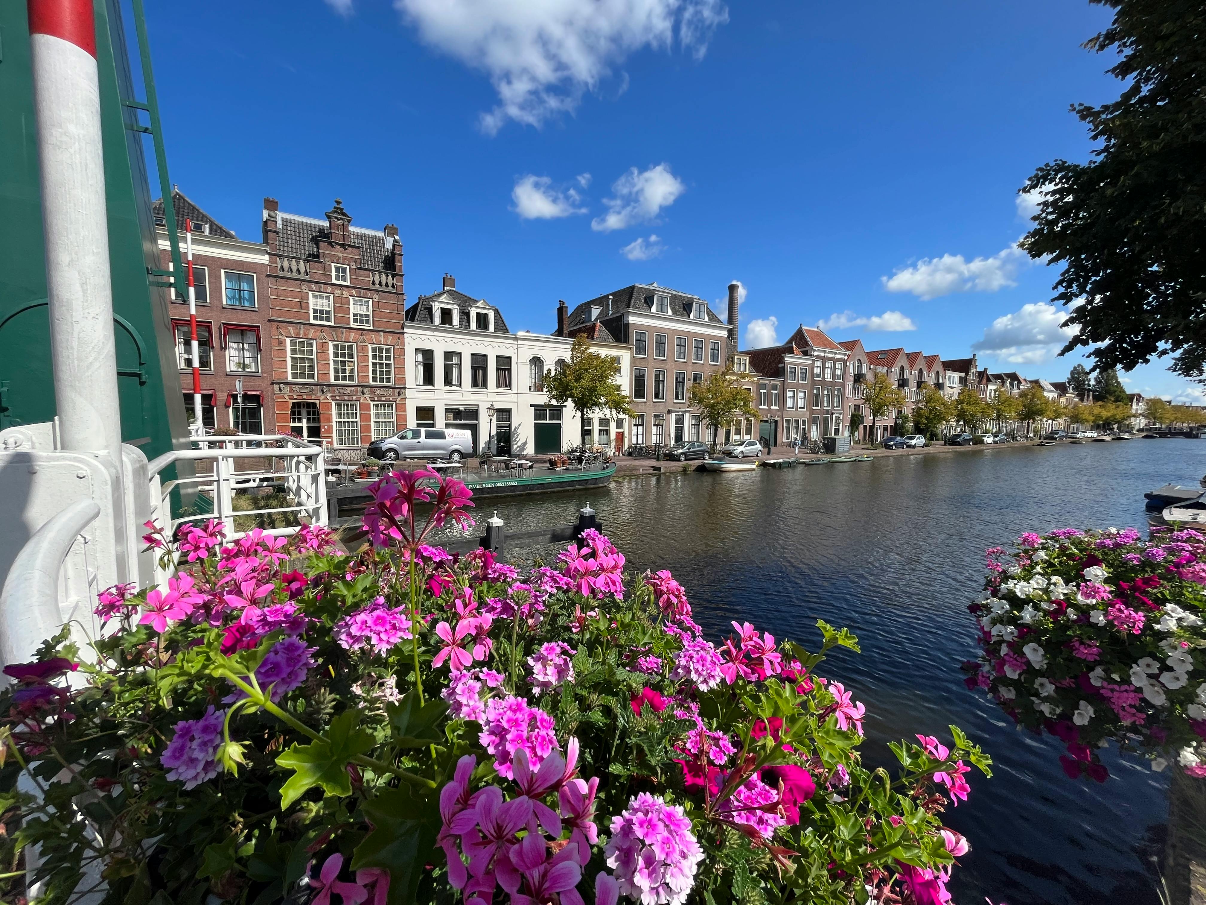 Appartamento in affitto a 2195 € al mese a Leiden, Oude Singel
