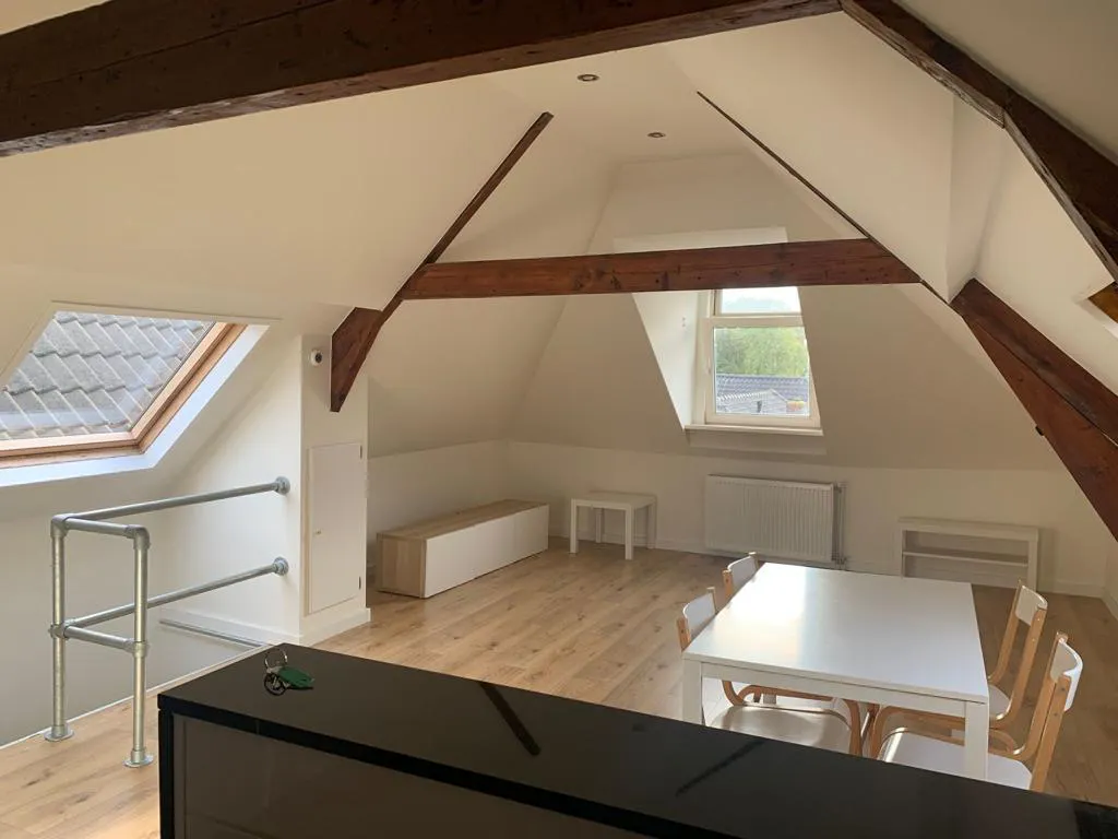 Private room in 1e Pijnackerstraat, Rotterdam (1107252) ROOM 1