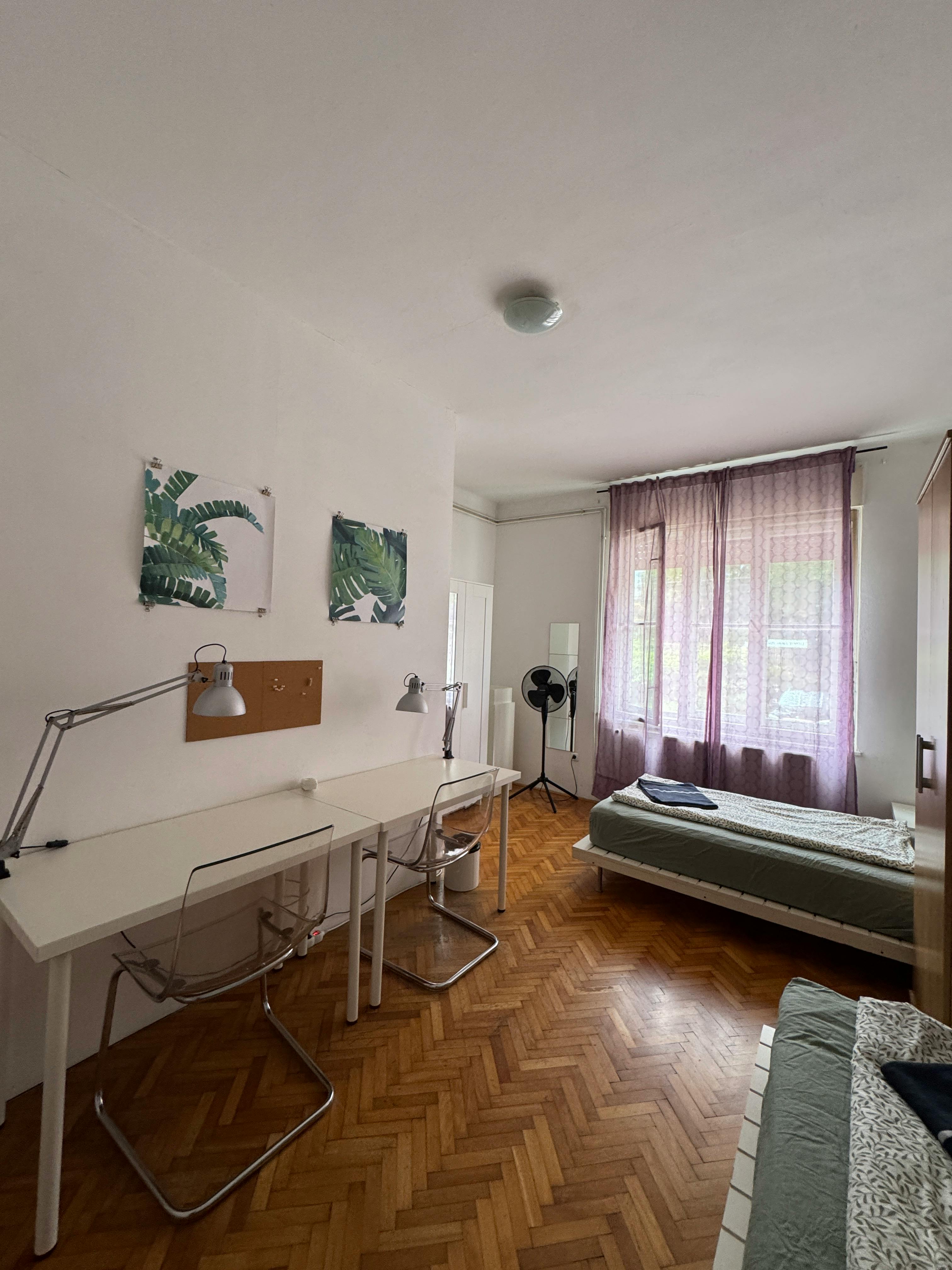 Bleiweisova cesta, Ljubljana preview