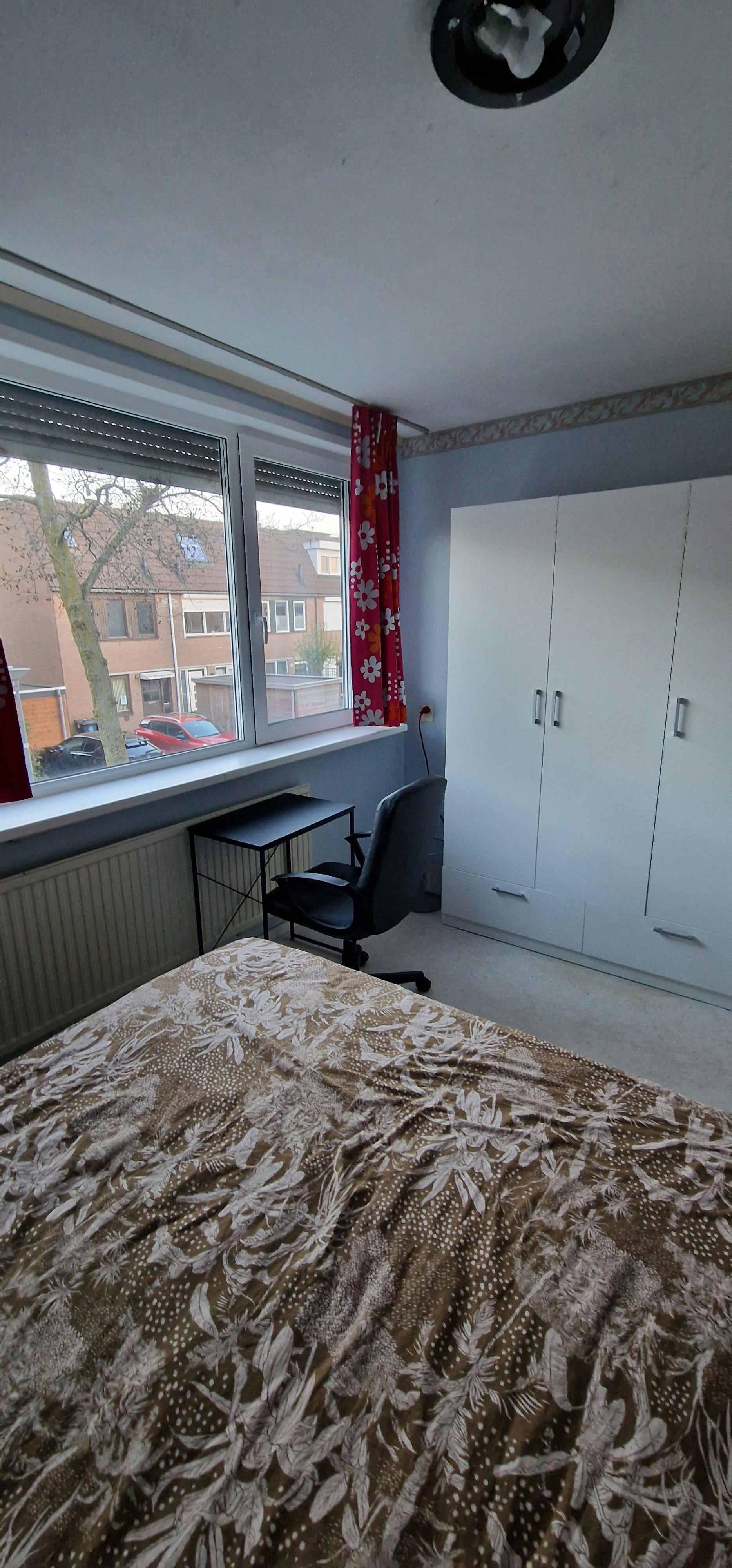 Zwijnsbergenweg, Rotterdam preview