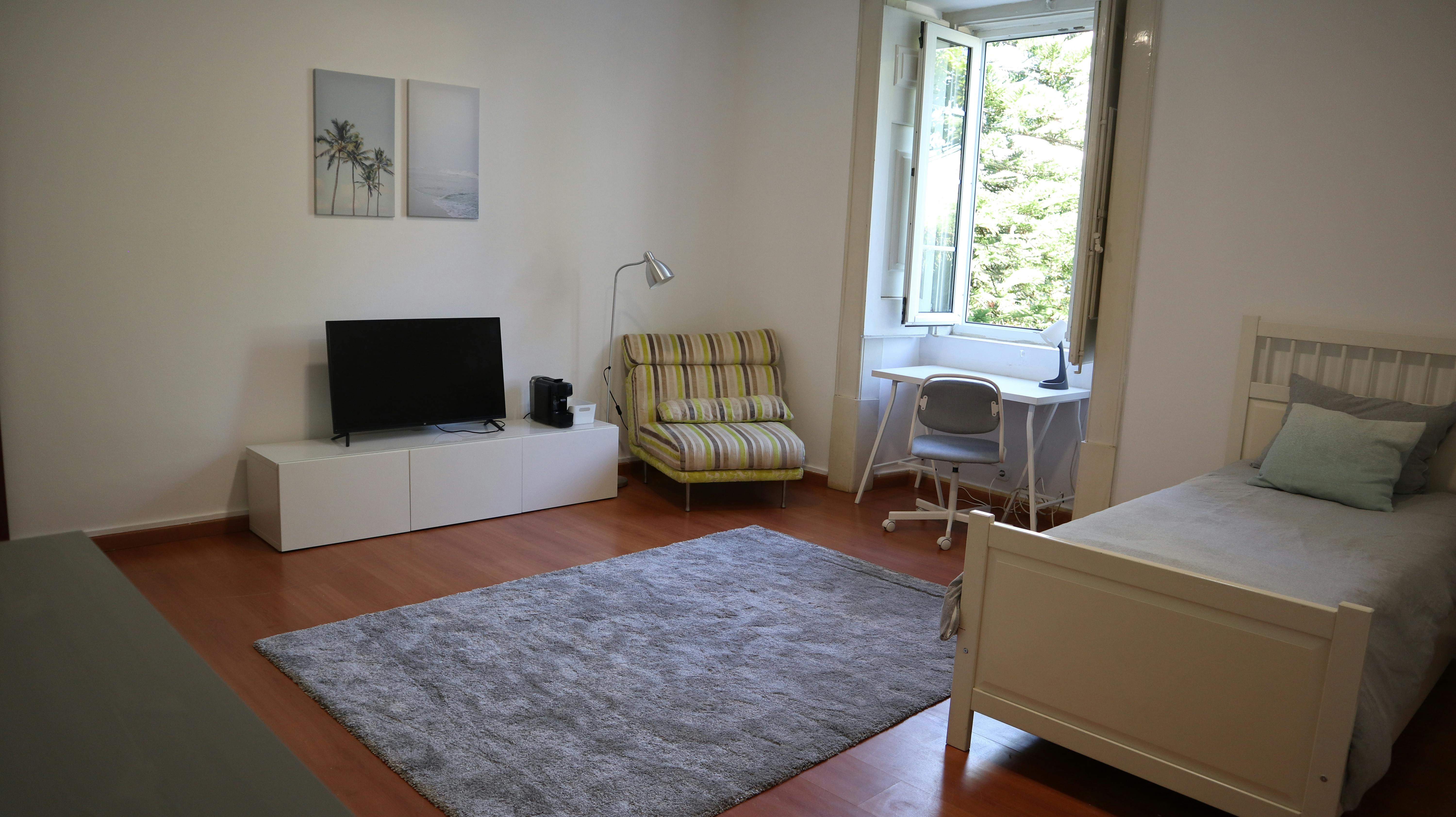 Estrada da Luz, Lisbon preview