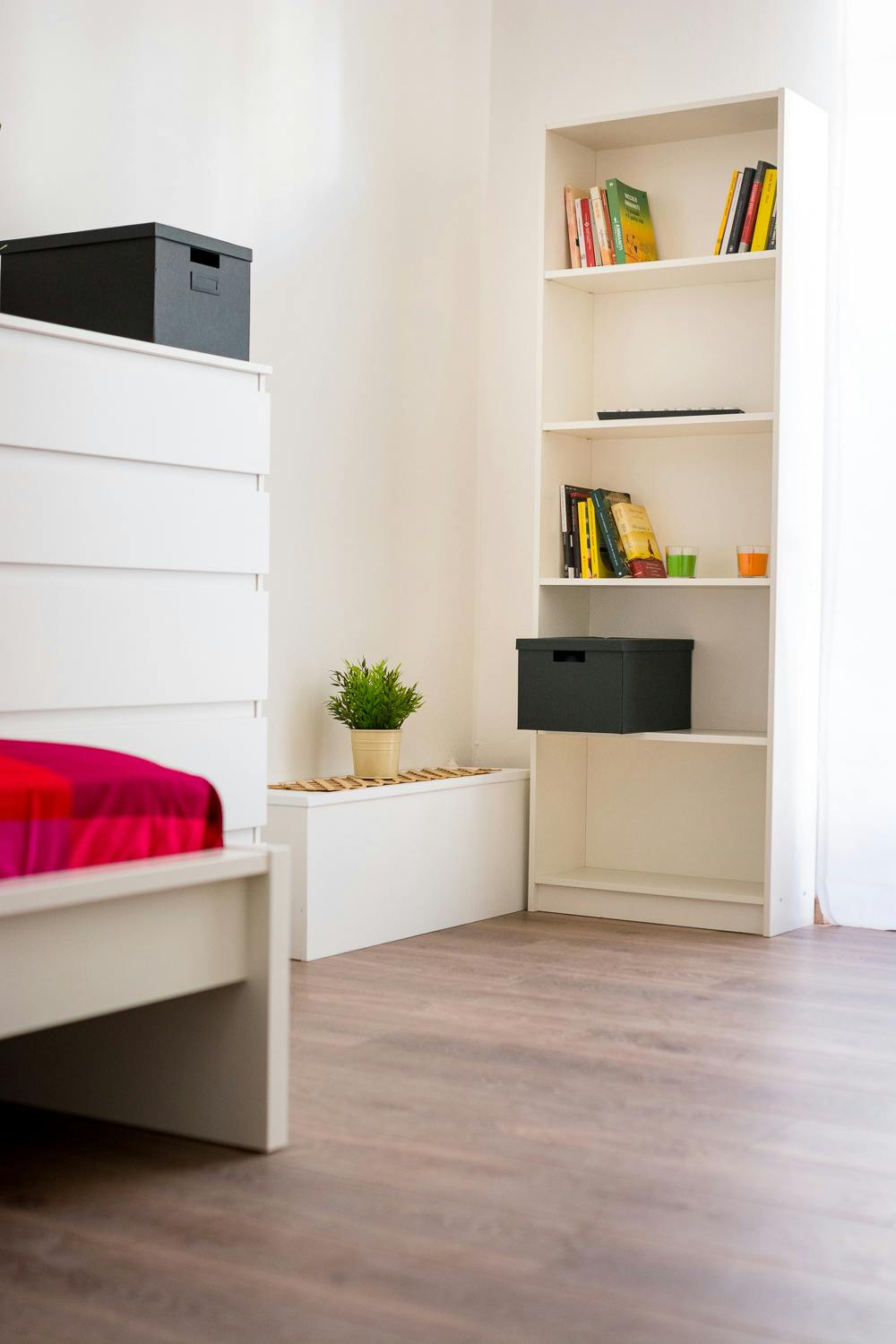 Single room Turin, 1 bed, 13m² — photo 17