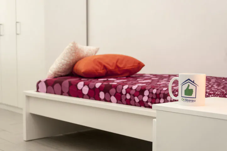 Private room in Via Romolo Gessi, Turin (1126392) ROOM 4
