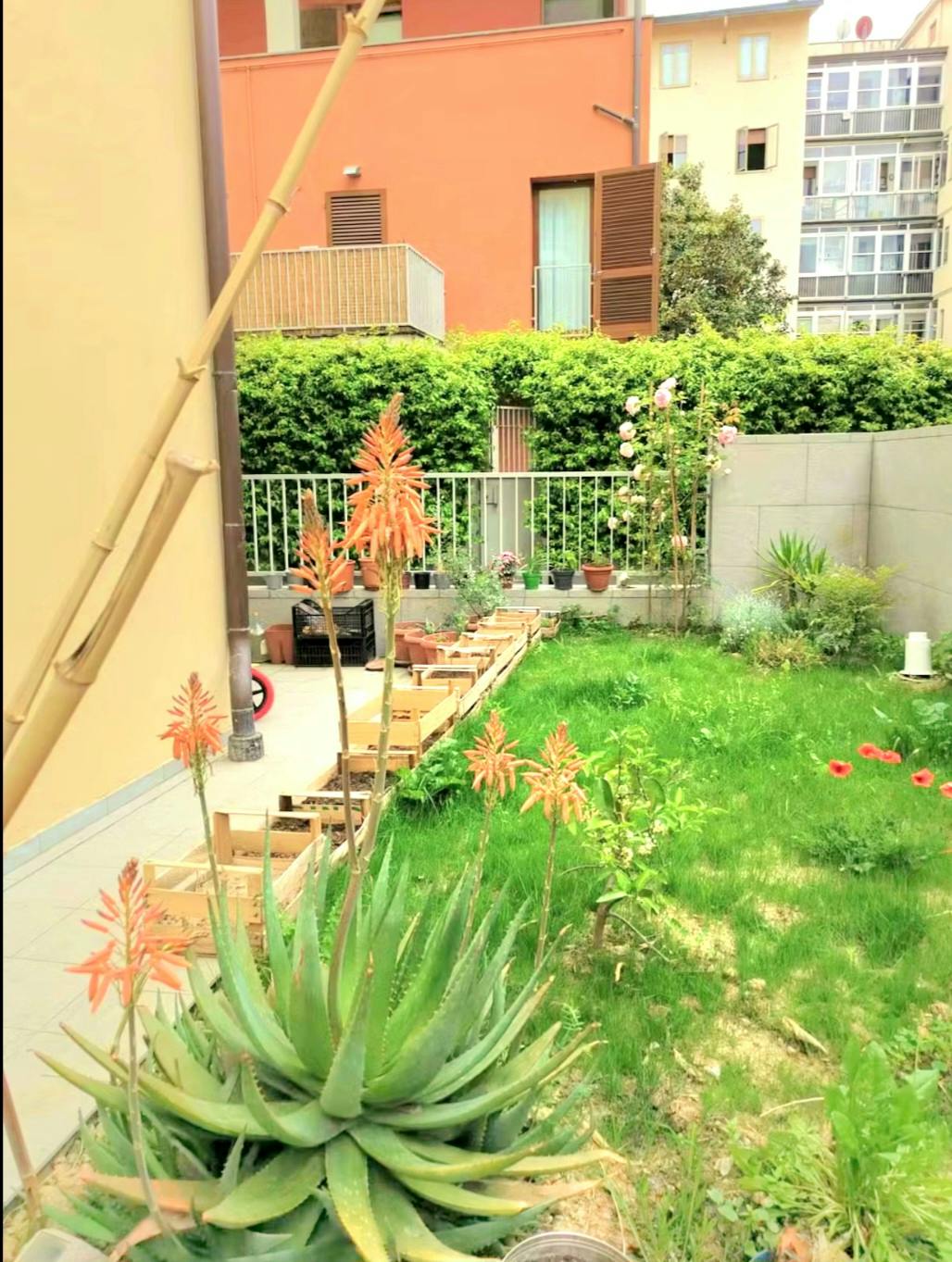 Via dell'Orcagna, Florence preview