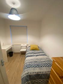 Отдельная комната сдается в аренду за 975 € в месяц в Dublin, Seven Oaks