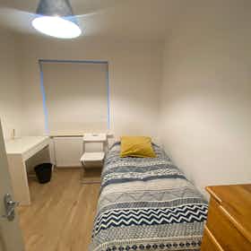 私人房间 正在以 €975 的月租出租，其位于 Dublin, Seven Oaks
