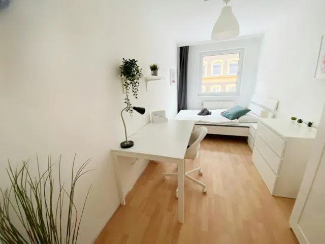 Private room in Sonnleithnergasse, Vienna (1129945) room image 1