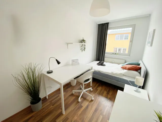 Private room in Sonnleithnergasse, Vienna (1129948) room image 2