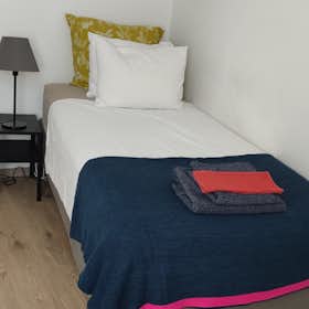 单间公寓 for rent for €800 per month in Schaerbeek, Rue du Noyer