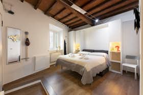 Studio for rent for €1,100 per month in Florence, Via dell'Erta Canina