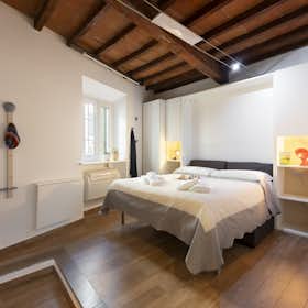 Studio for rent for €1,100 per month in Florence, Via dell'Erta Canina