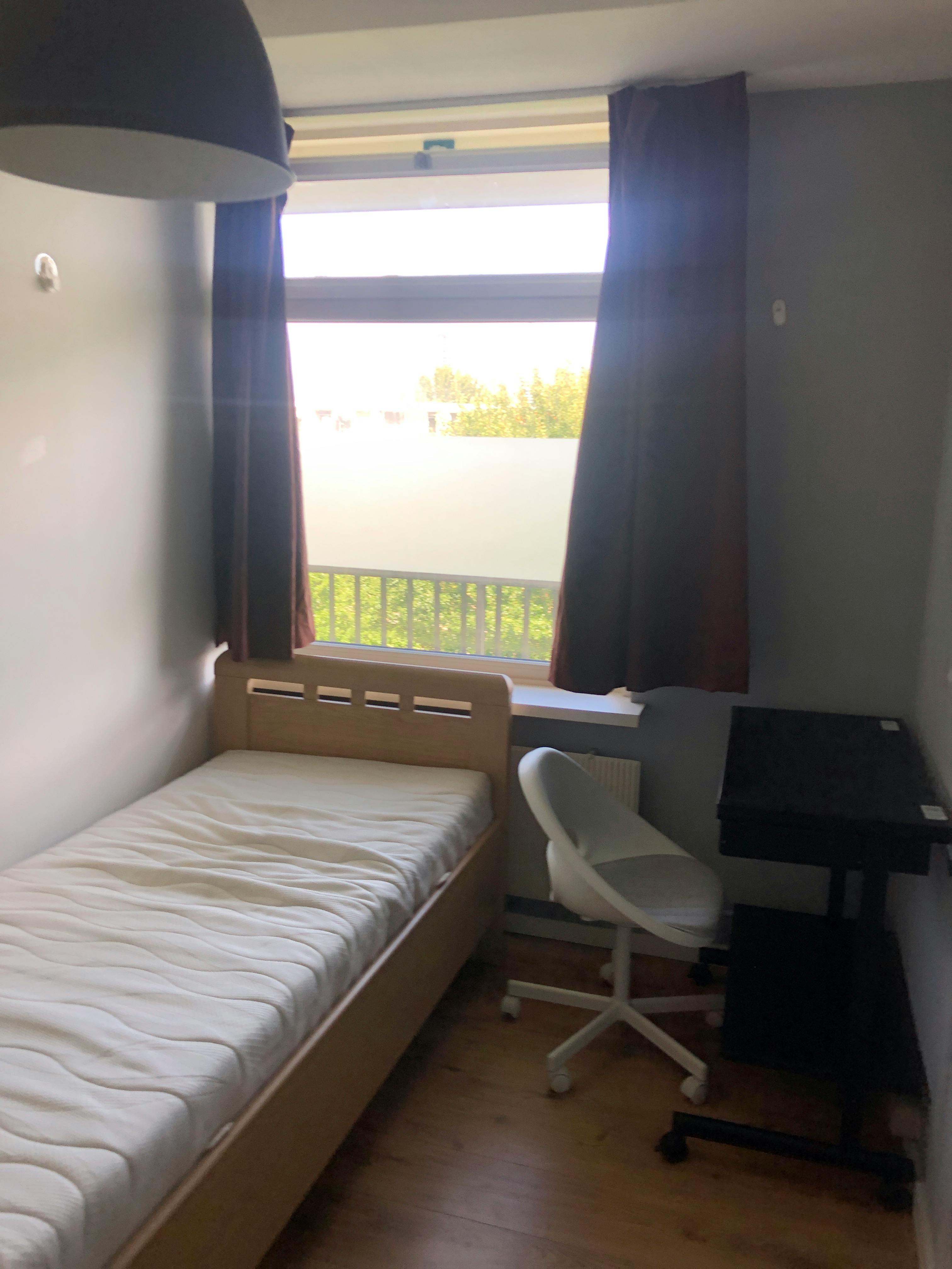 Private room in Everaertstraat, Rotterdam (1141759) room image 1
