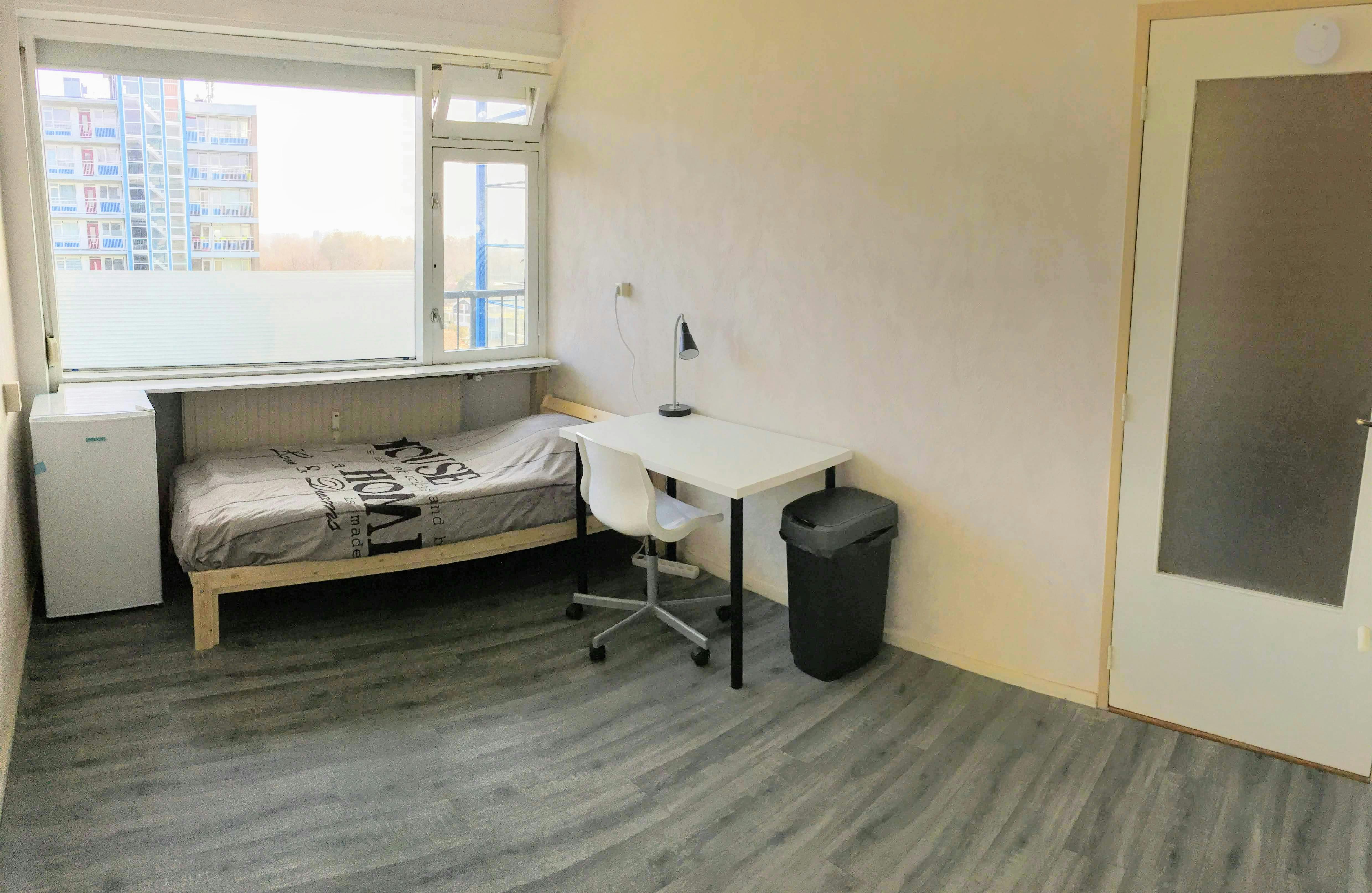 Private room in Cornelis Heinricksestraat, Rotterdam (1143381) ROOM