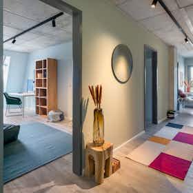 Chambre privée à louer pour 599 €/mois à Wuppertal, Weidenstraße