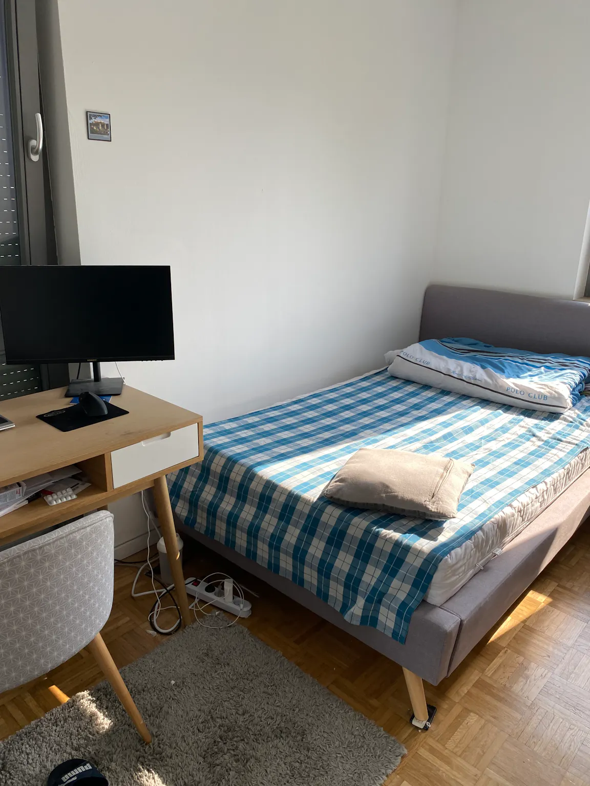 Felsennelkenanger, Munich preview