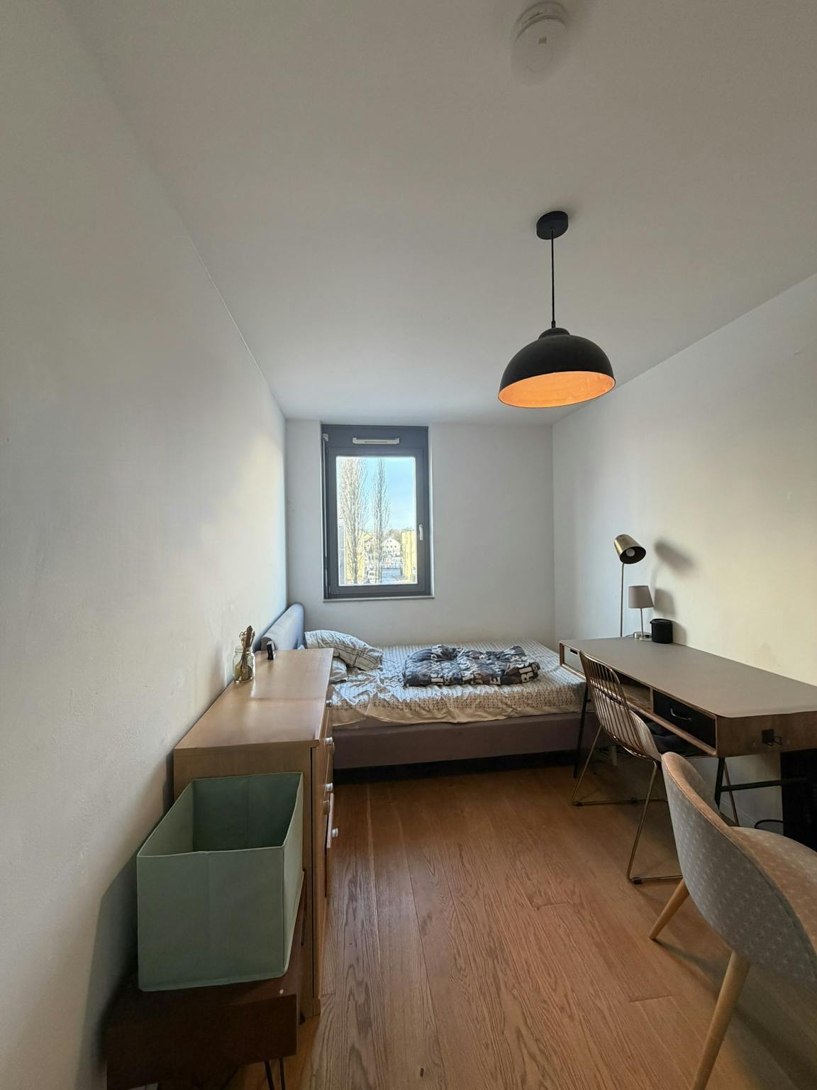 Felsennelkenanger, Munich preview