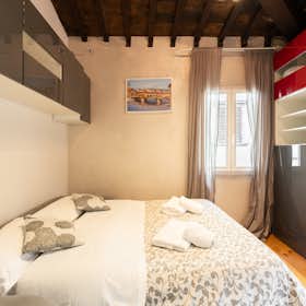 Studio for rent for €1,050 per month in Florence, Via dell'Osteria del Guanto