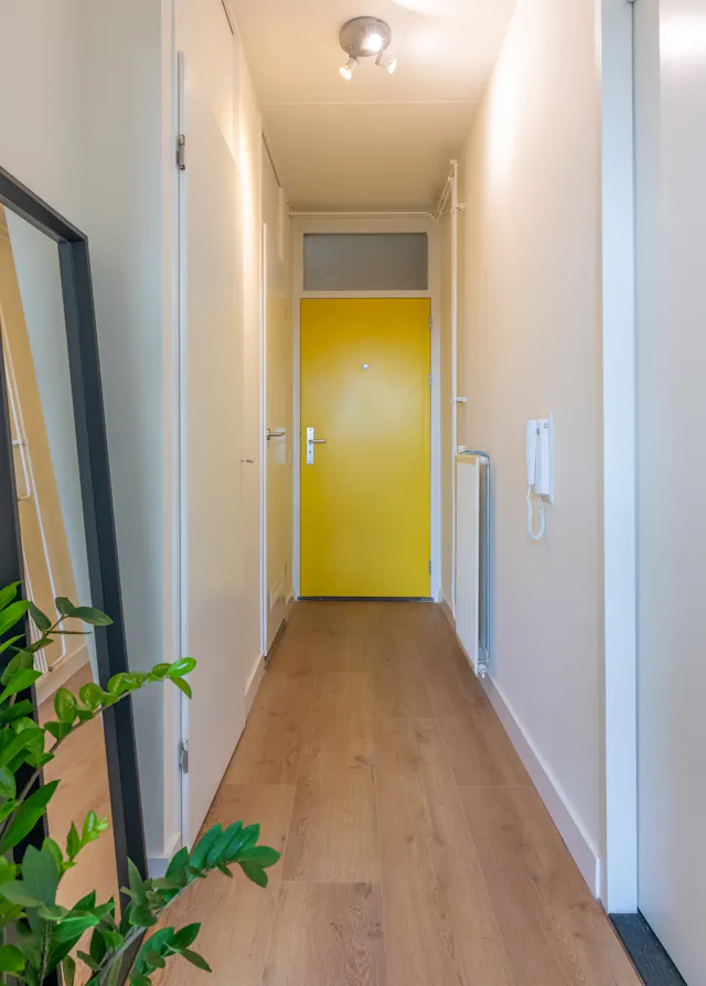 2-Bedroom Apartment in Madurastraat, Amsterdam (1178590) room image 190