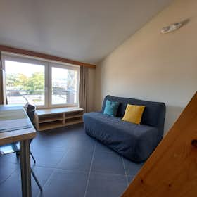 Private room for rent for €674 per month in Liège, Rue Darchis