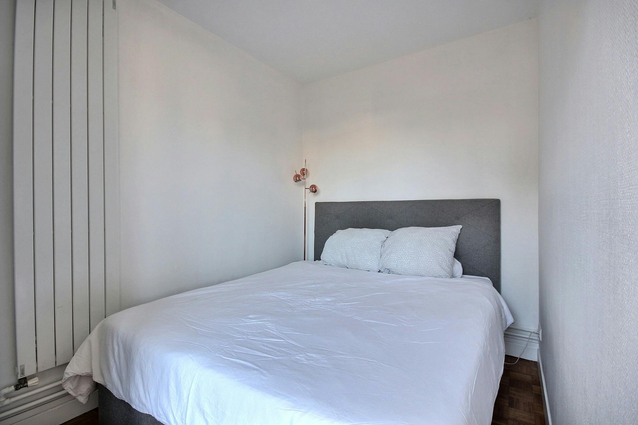 1-Bedroom Apartment in Rue Rouelle, Paris (1210995) ROOM