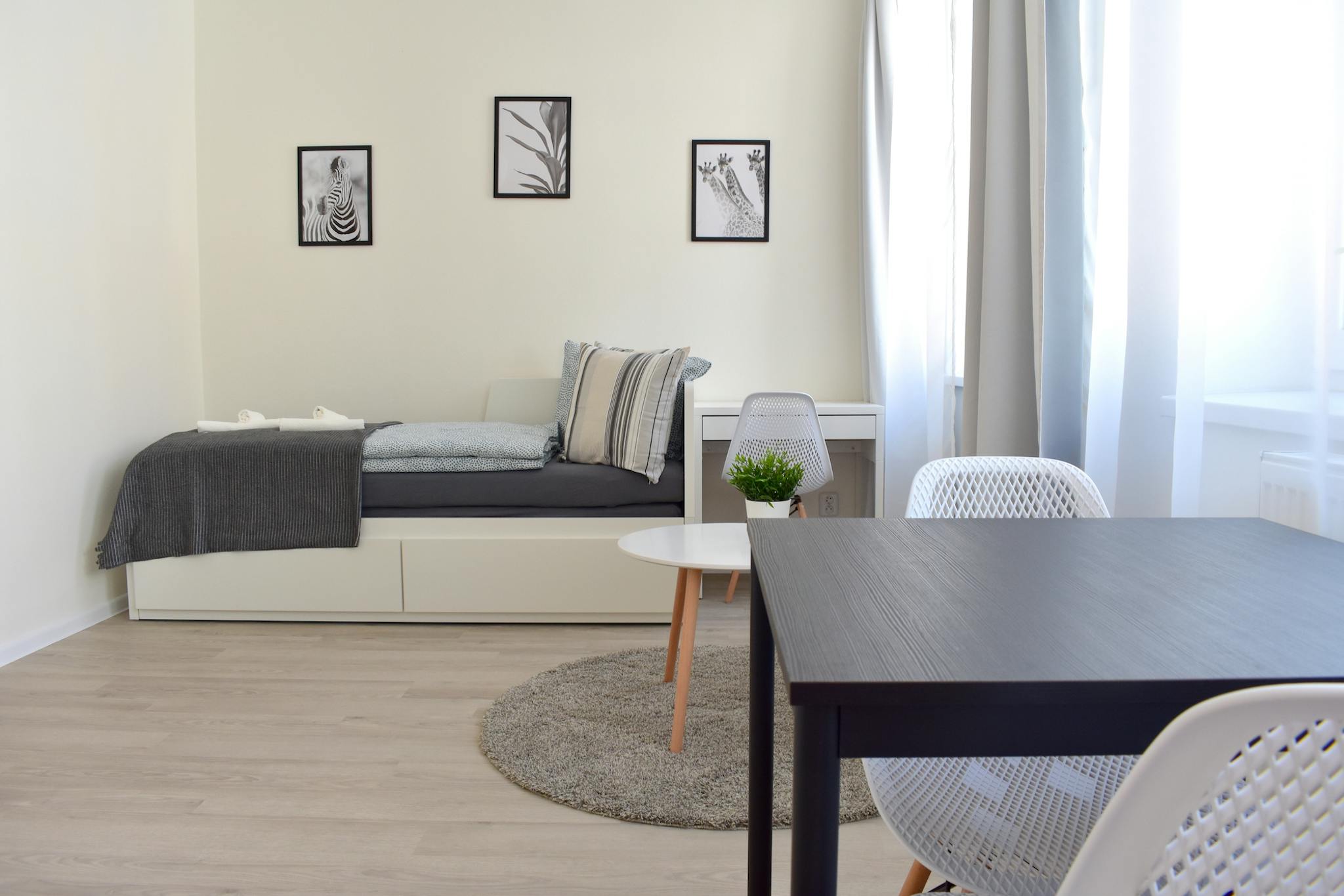 Hartigova, Prague preview