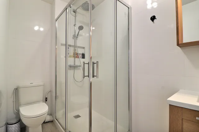 1-Bedroom Apartment in Boulevard Garibaldi, Paris (1220178) room image 100