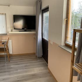 WG-Zimmer for rent for 540 € per month in Wolfsburg, Zum Heidgarten