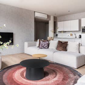 公寓 正在以 €4,500 的月租出租，其位于 The Hague, Buitenhof