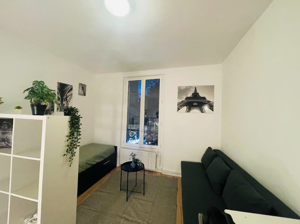 Rue de Belleville, Paris preview