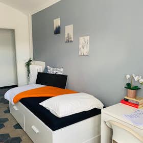 Private room for rent for €550 per month in Turin, Via Bernardino Galliari