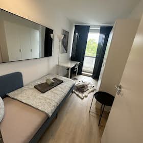 Habitación privada for rent for 749 € per month in Munich, Elfriedenstraße