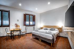 Studio for rent for €1,400 per month in Florence, Via dei Pilastri