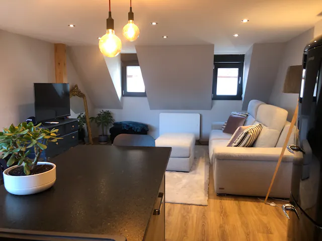 1-Bedroom Apartment in Rue du Fort, Strasbourg (1249032) room image 50
