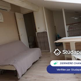 Apartament de închiriat pentru 440 EUR pe lună în Toulouse, Rue des Champs Élysées