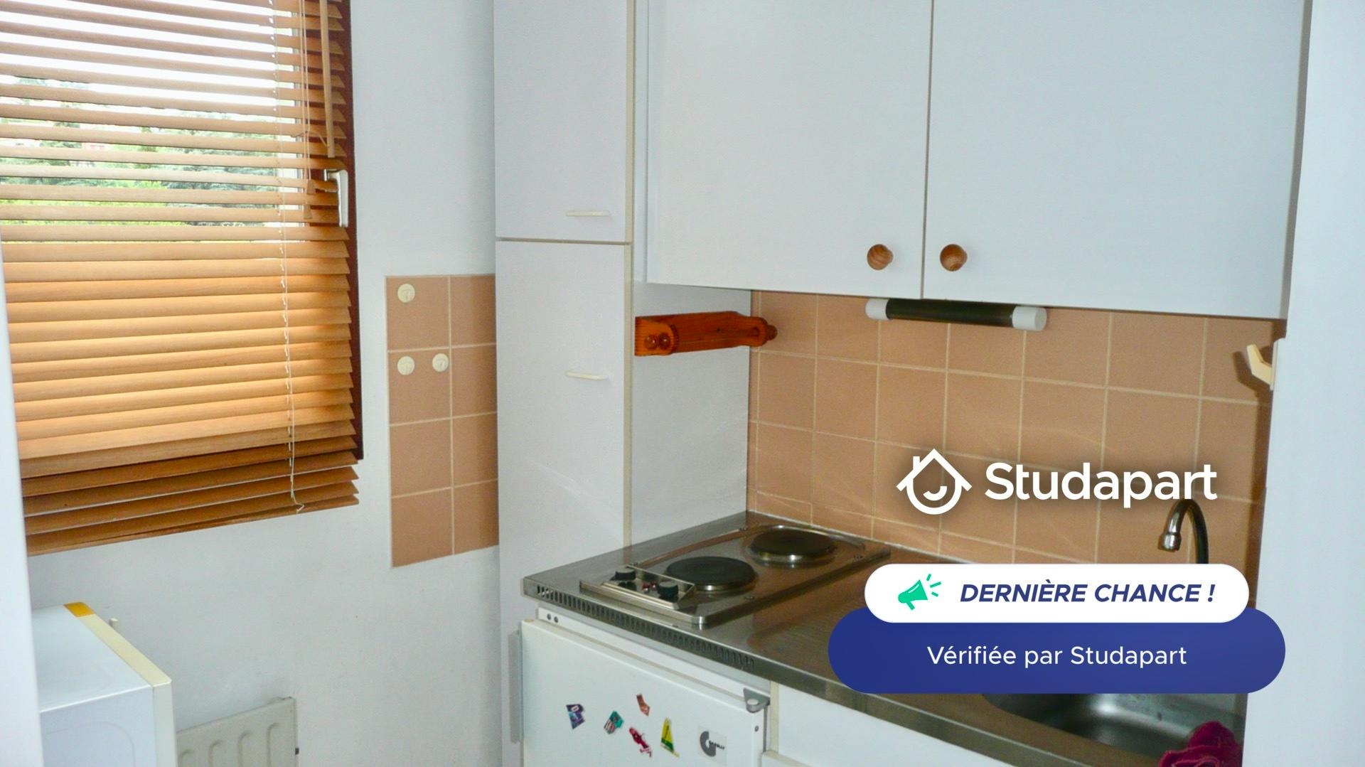 Apartment for rent on Cours Fauriel, Saint-Étienne – pohled 4