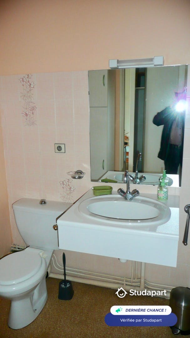 Apartment for rent on Cours Fauriel, Saint-Étienne – pohled 5