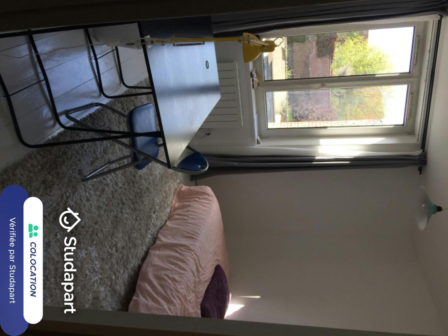 Private room for rent on Boulevard Montebello, Lille - Vue 4