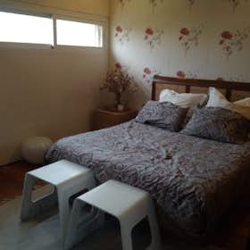 Private room for rent for €595 per month in Sevilla, Avenida de Italia